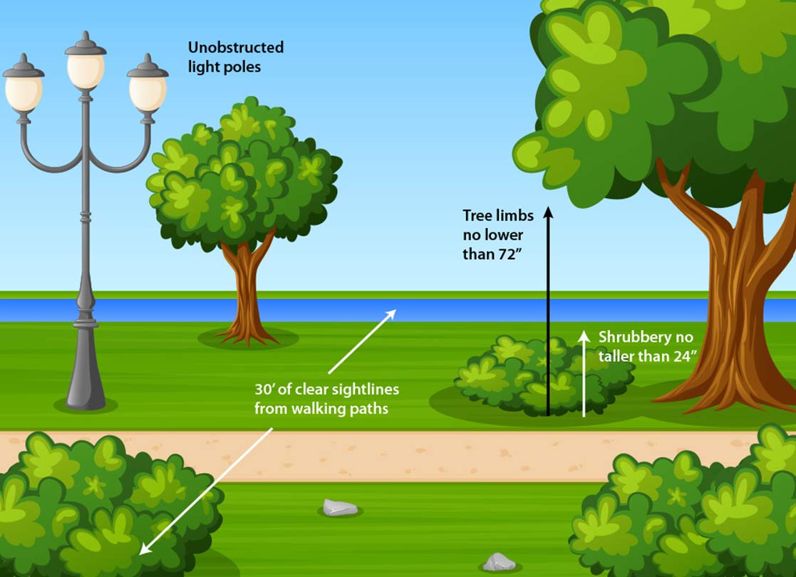Illustration of the CPTED two-foot, six-foot vegetation rule showing shrubbery no taller than 24 inches, tree canopies no lower than 72 inches, unobstructed light poles, and 30 feet of clear sightlines from walking paths