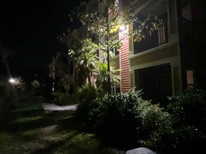 Vegetation obstructing a wall pack light fixture on a Florida multifamily property, with light output blocked by tree canopy growth