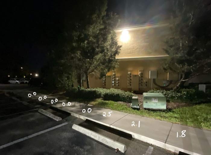 Parking lot light readings showing 0.0 foot-candles near a pole light where tree growth has enveloped the luminaire